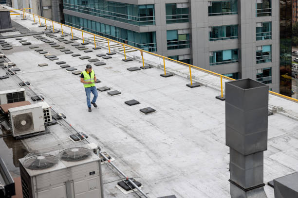 Best Flat Roofing  in Newark, NY