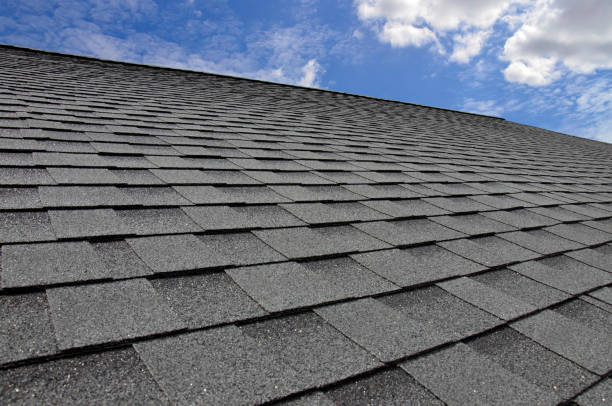 Best Rubber Roofing (EPDM, TPO)  in Newark, NY